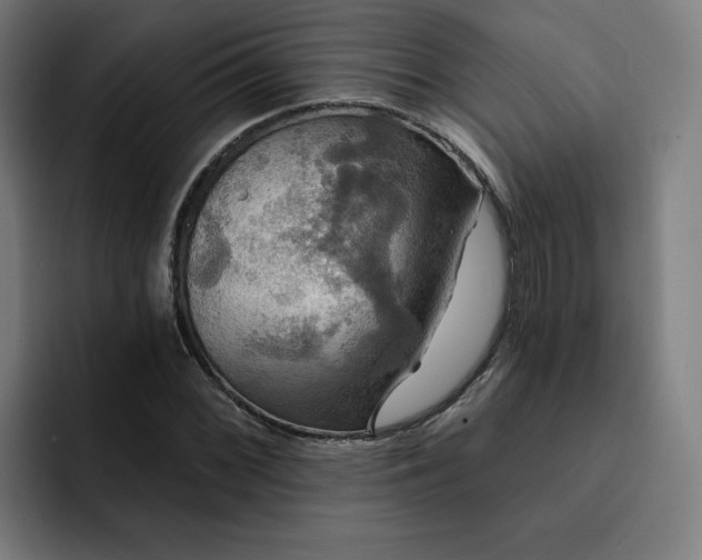 X0000093251068200710101436