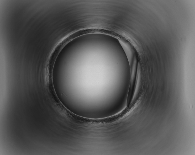 X0000093251069200710101436