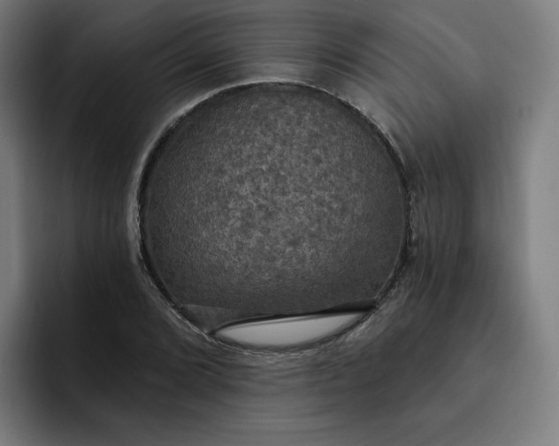 X0000093251072200710101436