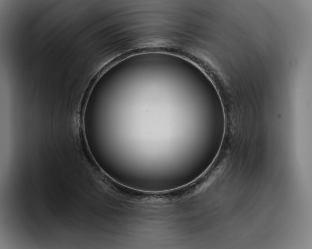 X0000093251073200710101436