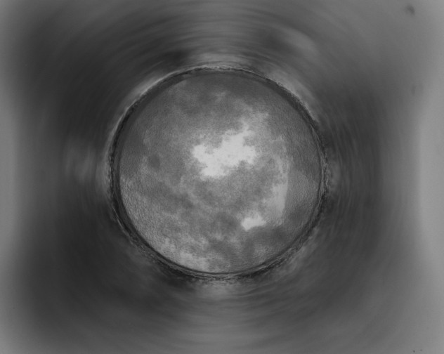 X0000093251074200710101436