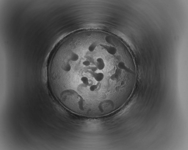 X0000093251075200710101436