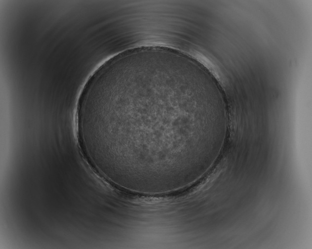 X0000093251076200710101436