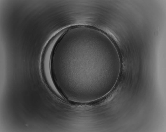 X0000093251077200710101436