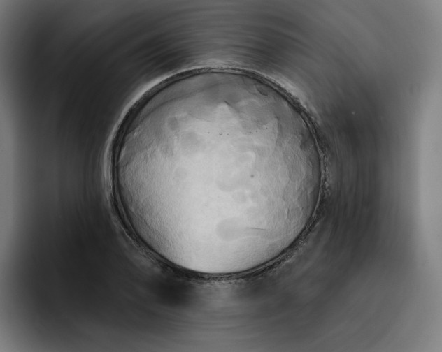 X0000093251078200710101436