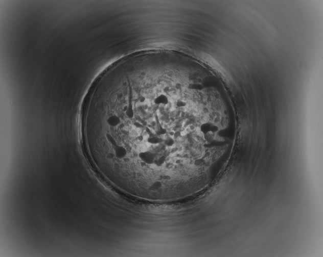 X0000093251079200710101436