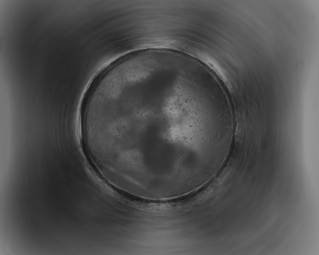 X0000093251080200710101436