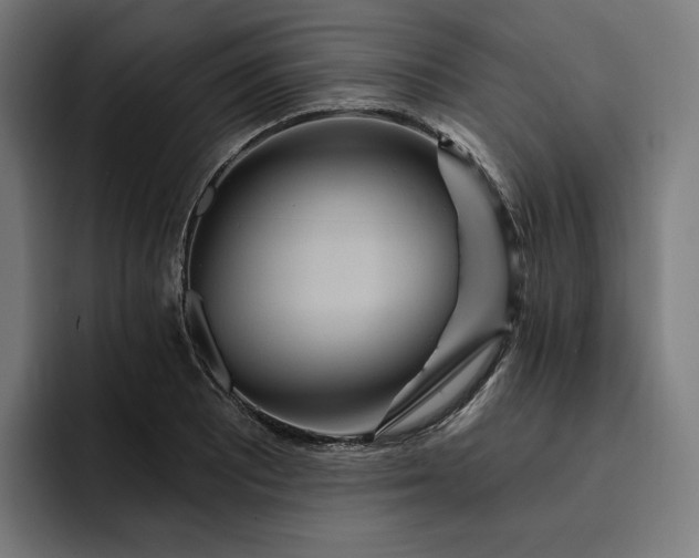 X0000093251081200710101436