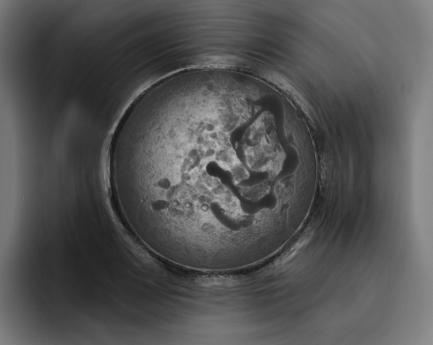 X0000093251083200710101436