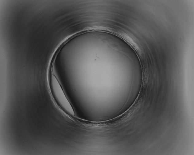 X0000093251084200710101436