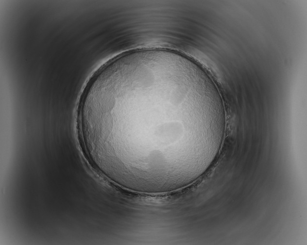 X0000093251086200710101436