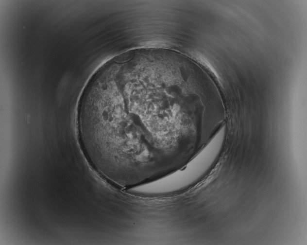 X0000093251087200710101436