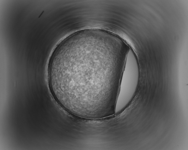 X0000093251088200710101436