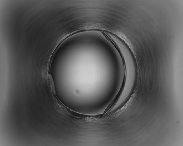 X0000093251089200710101436