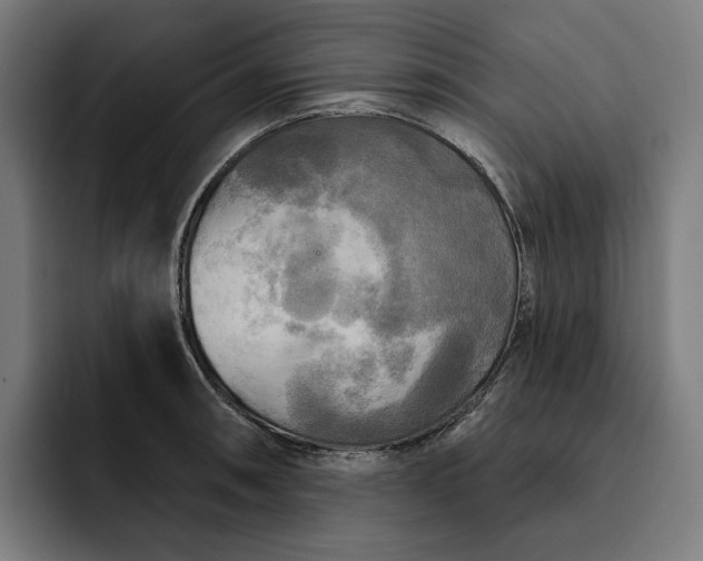 X0000093251090200710101436