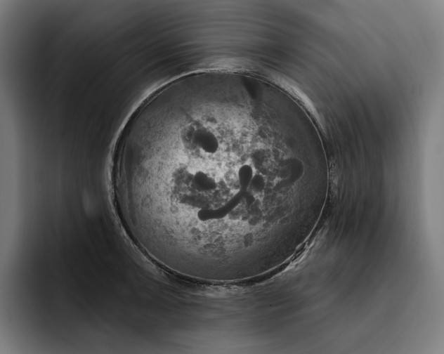 X0000093251091200710101436