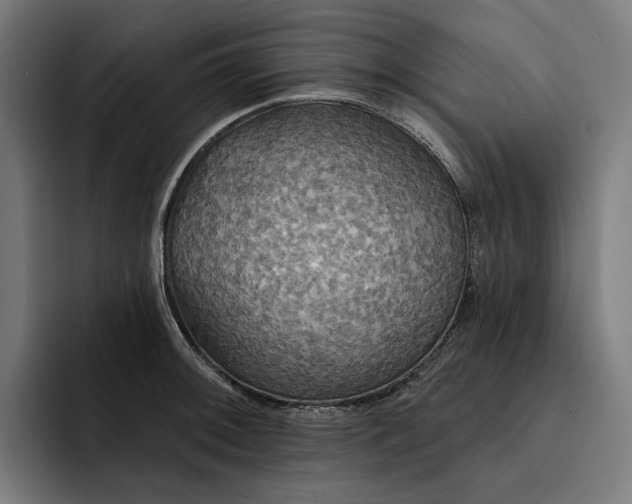 X0000093251092200710101436