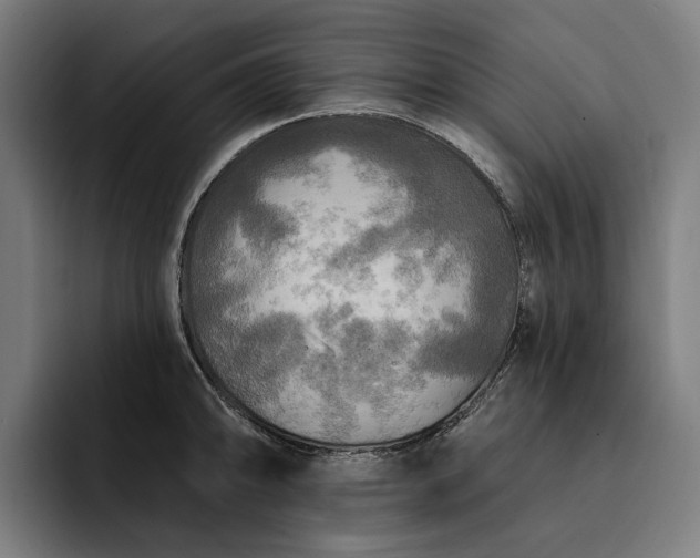 X0000093251094200710101436