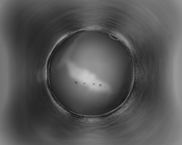 X0000093251095200710101436