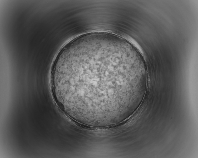 X0000093251096200710101436