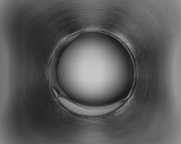 X0000093251097200710101436