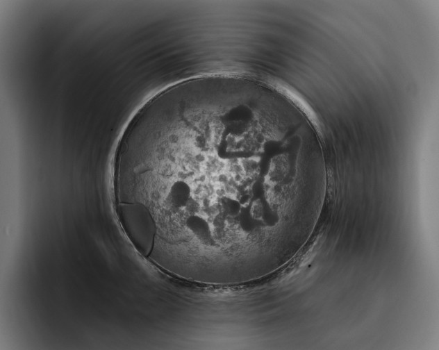 X0000093251099200710101436