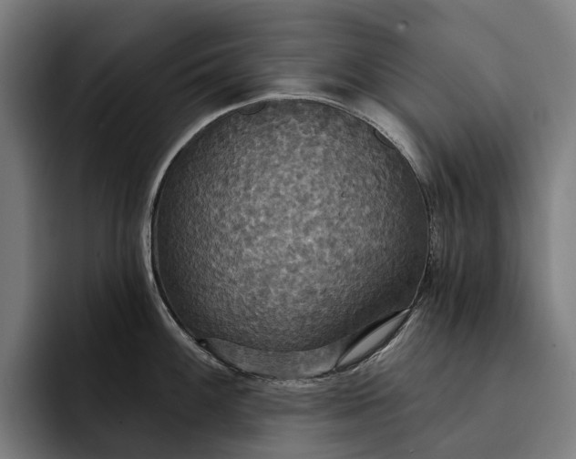 X0000093251100200710101436