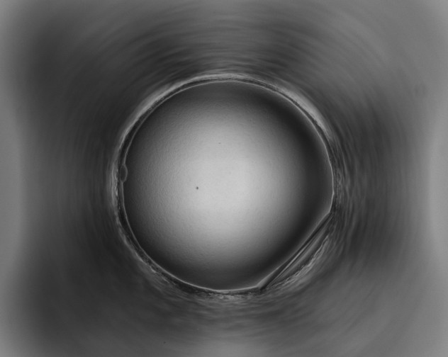 X0000093251101200710101436