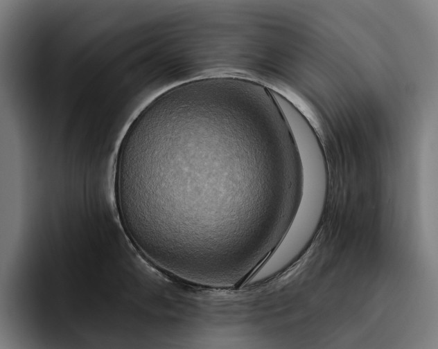 X0000093251102200710101436