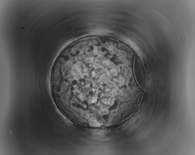 X0000093251103200710101436