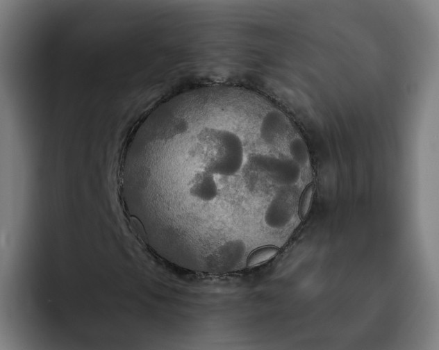 X0000093251105200710101435