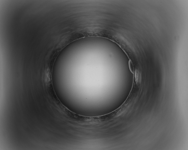 X0000093251107200710101435