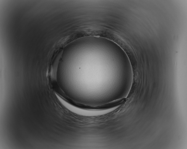 X0000093251108200710101435