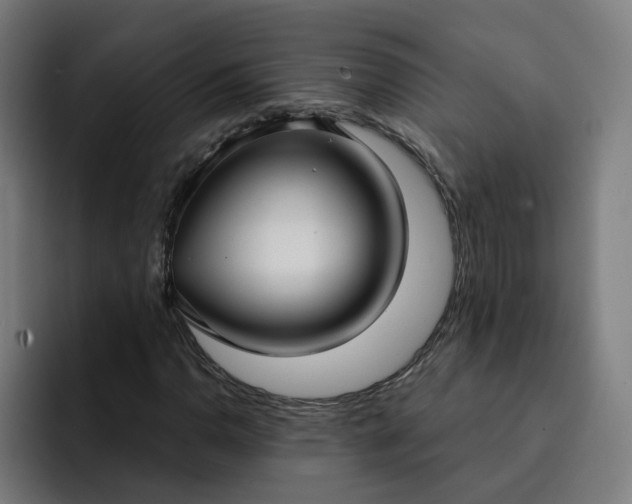 X0000093251110200710101435