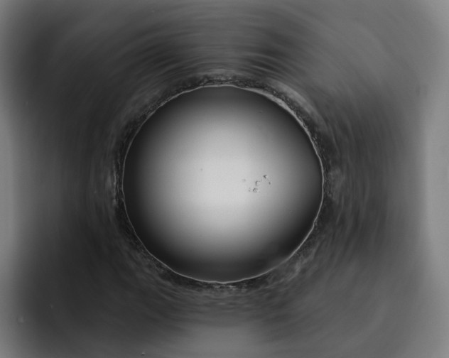 X0000093251111200710101435