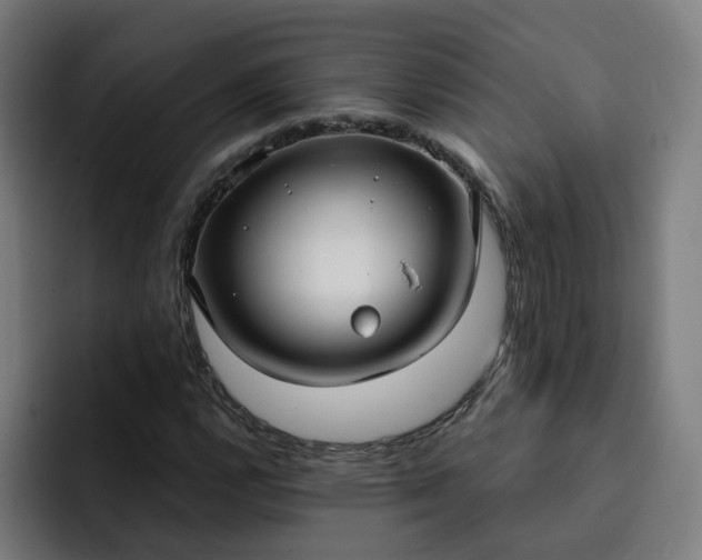 X0000093251112200710101435