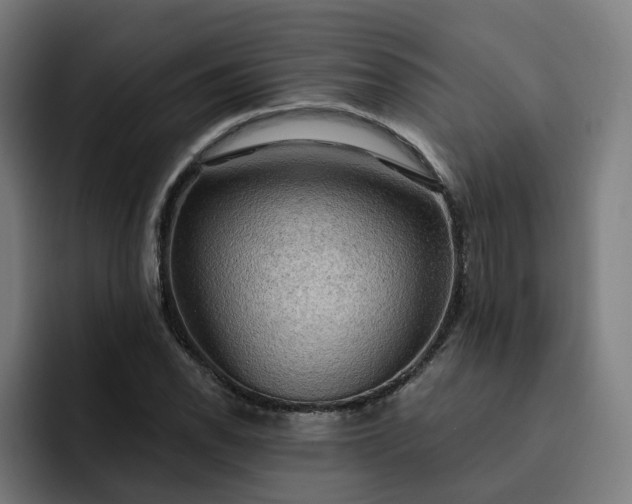 X0000093251118200710101435