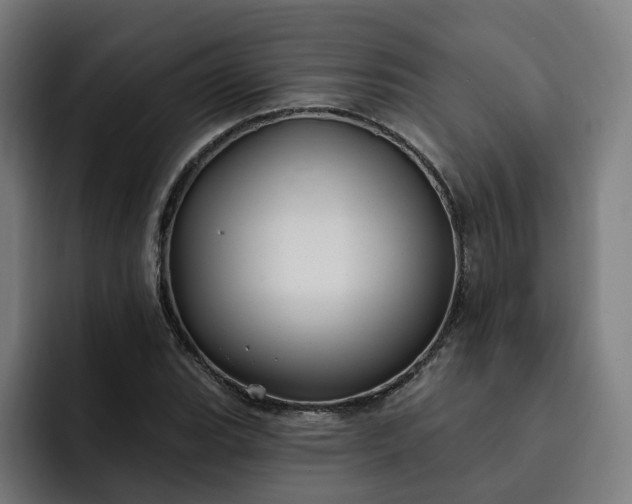 X0000093251119200710101435