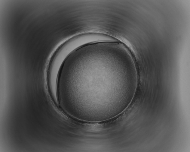 X0000093251120200710101435