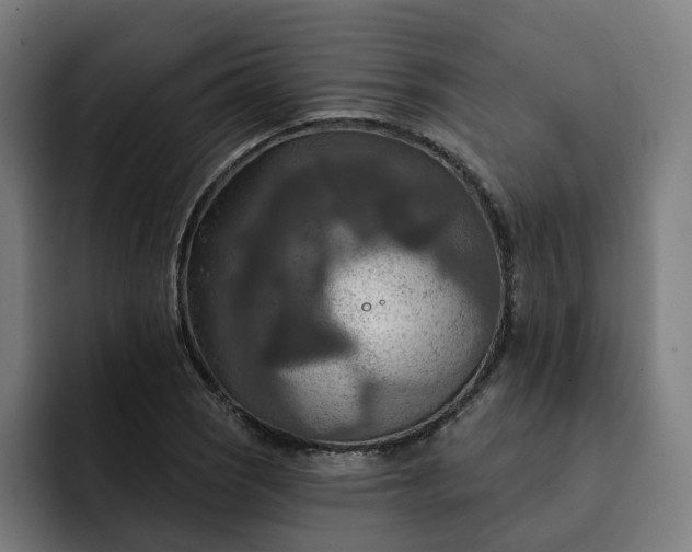 X0000093251121200710101435