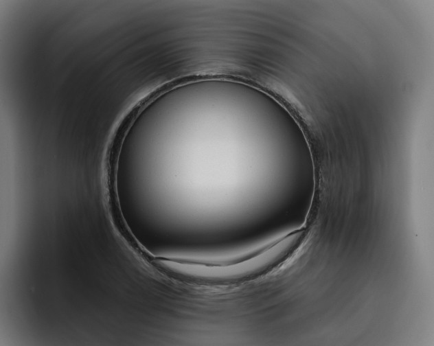 X0000093251122200710101435