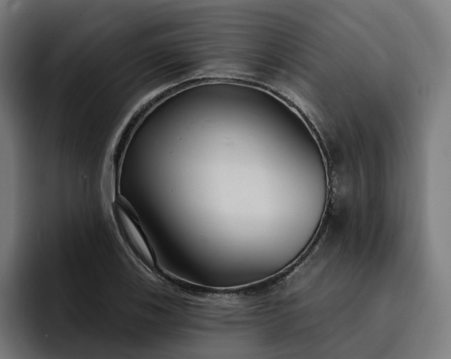 X0000093251123200710101435