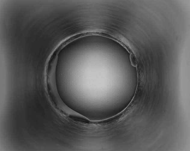 X0000093251124200710101435