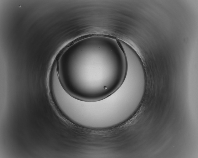 X0000093251128200710101435