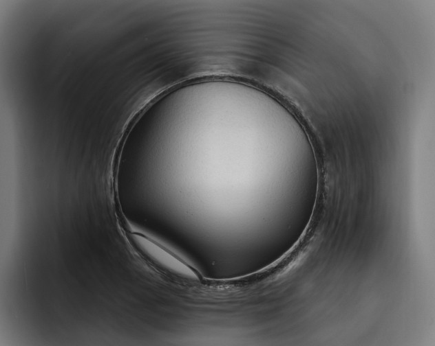 X0000093251129200710101435