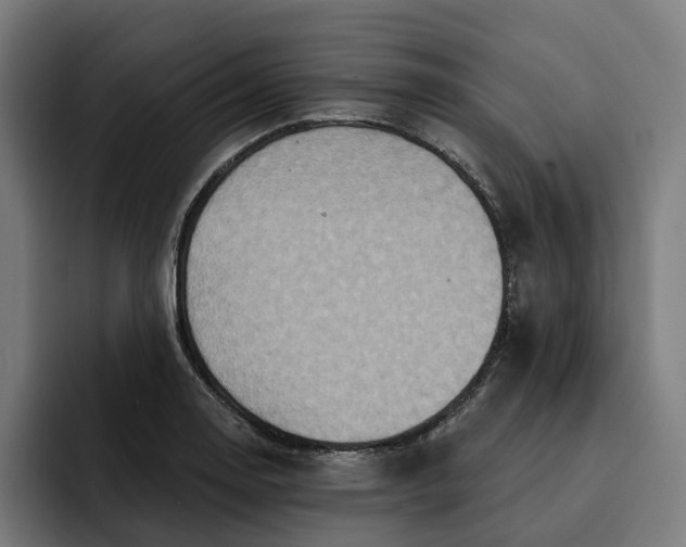 X0000093251130200710101435