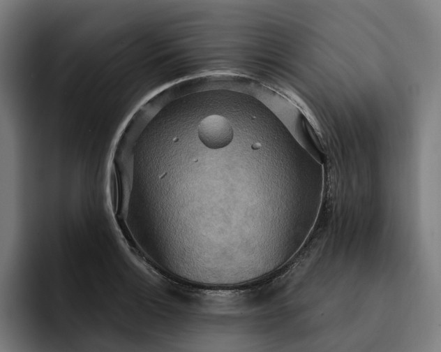 X0000093251132200710101435