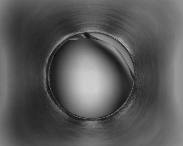 X0000093251134200710101435