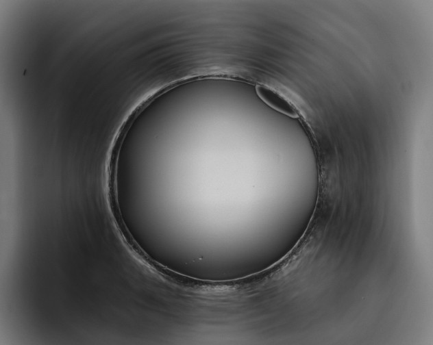 X0000093251135200710101435