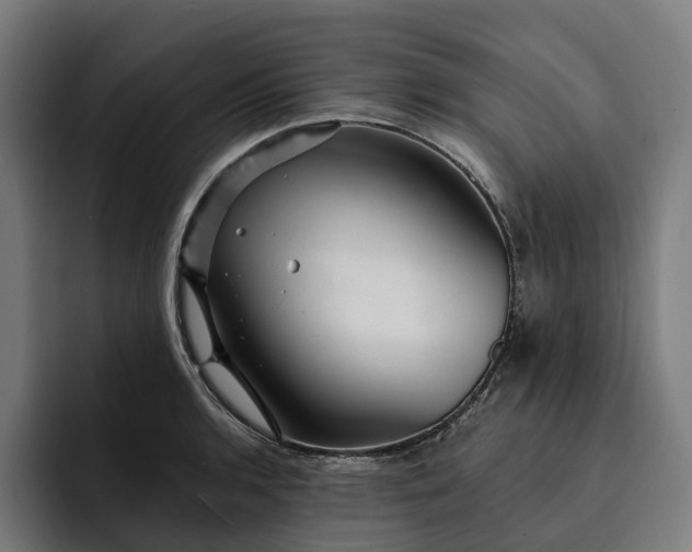 X0000093251136200710101435